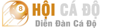 Nhóm Tìm Cầu