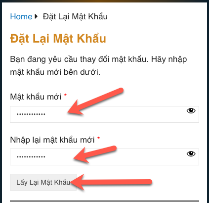 Lấy Lại Mật Khẩu tài khoản Nhóm Tìm Cầu